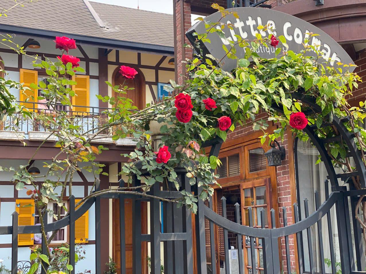 NovaLux Team Design – Đơn vị thiết kế kiến tạo nên Little Colmar Homestay Hạ Long